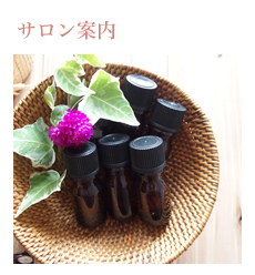 サロン案内